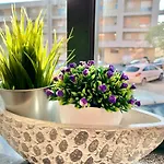 The Of Minho-campus Gualtar 1 * Braga